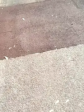 Snapshot of sonotutto chatting on November 2025 10:50:02 AM sonotutto online show from November 2025 10:50:02 AM