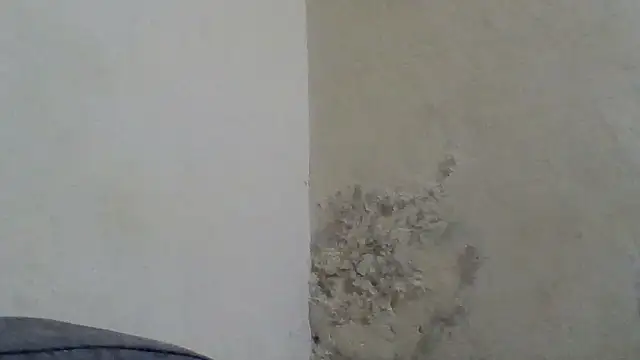 boobiesweet online show from September 2025 08:40:01 AM