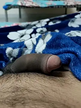 Snapshot of Bull54321 chatting on December 2025 04:33:01 PM Bull54321 online show from December 2025 04:33:01 PM