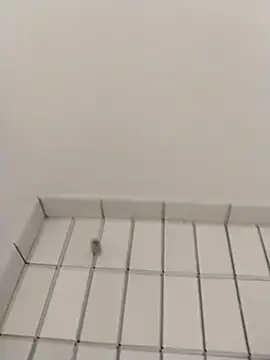 Snapshot of Ajayy01 chatting on October 2025 07:42:01 AM Ajayy01 online show from October 2025 07:42:01 AM