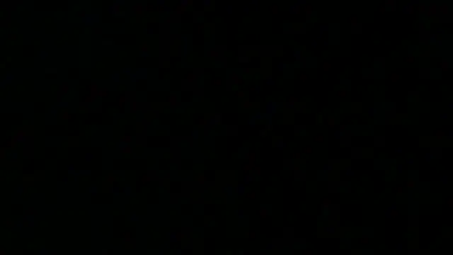 nekowaifuuu online show from October 2025 04:32:01 AM