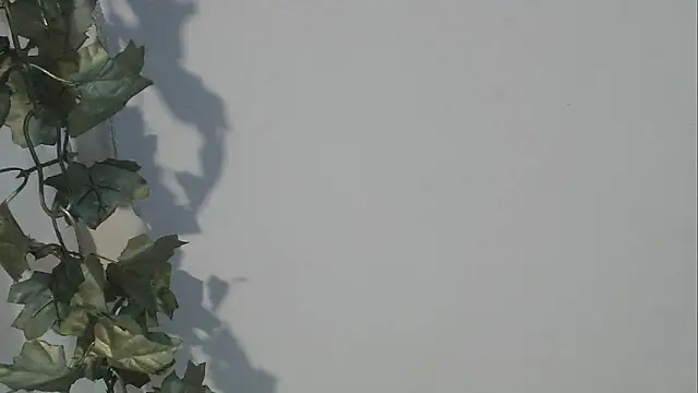 Snapshot of angelainparis28 chatting on October 2025 08:12:01 AM angelainparis28 online show from October 2025 08:12:01 AM