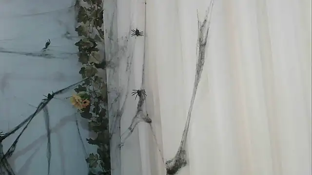 Snapshot of angelainparis28 chatting on October 2025 01:06:02 AM angelainparis28 online show from October 2025 01:06:02 AM