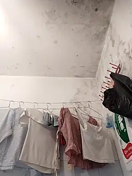 naop04 online show from November 2025 11:29:01 PM