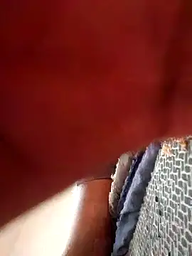 Snapshot of Xyz1232 chatting on December 2025 03:52:02 PM Xyz1232 online show from December 2025 03:52:02 PM