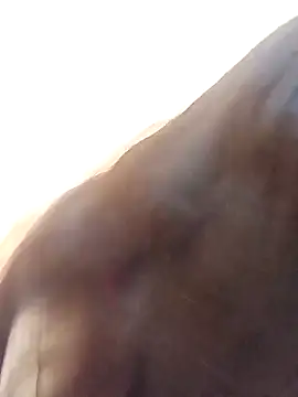 Snapshot of Payal-001 chatting on October 2025 07:27:01 PM Payal-001 online show from October 2025 07:27:01 PM