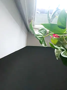 Snapshot of Czarnoksieznik chatting on November 2025 12:07:01 PM Czarnoksieznik online show from November 2025 12:07:01 PM