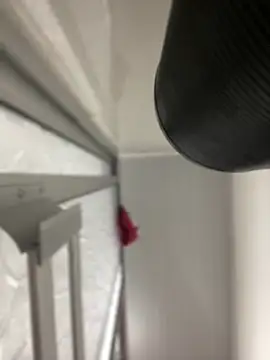 JuanitaMore01 online show from October 2025 08:28:02 PM