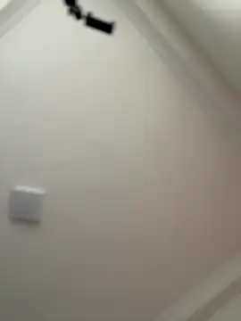 JuanitaMore01 online show from October 2025 08:21:02 PM