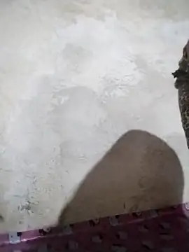 Snapshot of big_booty15 chatting on October 2025 02:32:01 AM big booty15 online show from October 2025 02:32:01 AM