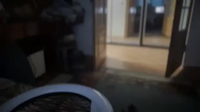 Rosea Champagne online show from October 2025 02:29:01 PM