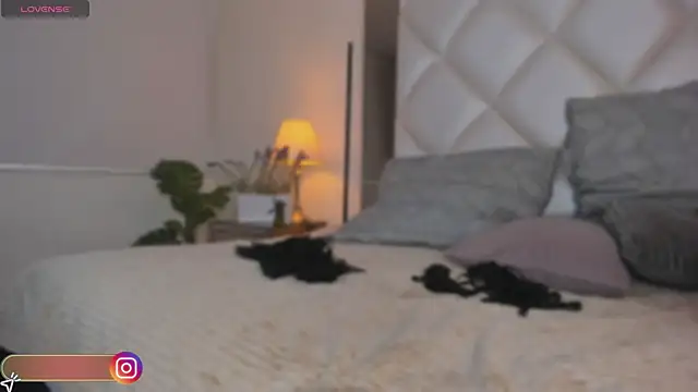 Snapshot of Megan_DH chatting on October 2025 12:28:02 PM Megan DH online show from October 2025 12:28:02 PM