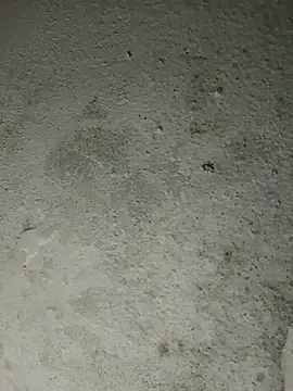 altafhyd online show from October 2025 10:57:01 AM