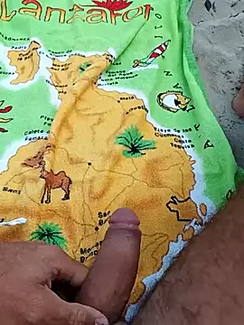 Snapshot of pegaso369 chatting on September 2025 11:33:02 AM pegaso369 online show from September 2025 11:33:02 AM