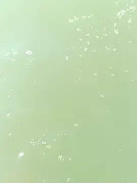 Snapshot of pegaso369 chatting on September 2025 01:05:02 PM pegaso369 online show from September 2025 01:05:02 PM