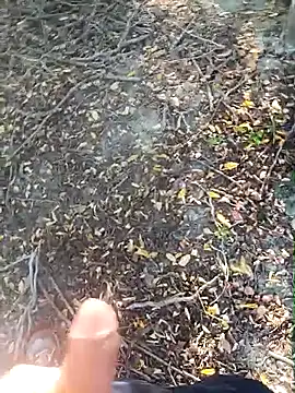 Snapshot of pegaso369 chatting on October 2025 02:28:01 PM pegaso369 online show from October 2025 02:28:01 PM