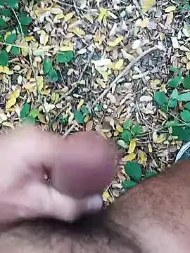 Snapshot of pegaso369 chatting on October 2025 01:44:02 PM pegaso369 online show from October 2025 01:44:02 PM