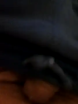 Snapshot of pegaso369 chatting on October 2025 11:43:01 PM pegaso369 online show from October 2025 11:43:01 PM