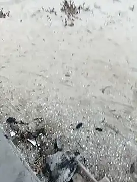 Snapshot of pegaso369 chatting on October 2025 03:36:01 PM pegaso369 online show from October 2025 03:36:01 PM