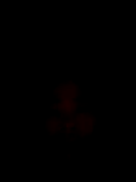 CoMay003 online show from December 2025 12:15:01 AM