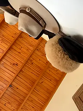 Snapshot of venuslibre chatting on October 2025 11:21:02 AM venuslibre online show from October 2025 11:21:02 AM