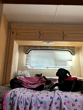 Snapshot of high3ndlowlife chatting on November 2025 04:40:01 PM high3ndlowlife online show from November 2025 04:40:01 PM