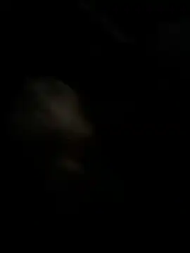 Snapshot of high3ndlowlife chatting on November 2025 02:13:01 AM high3ndlowlife online show from November 2025 02:13:01 AM