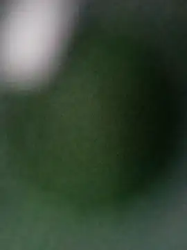 Snapshot of Punam_ji chatting on October 2025 07:12:02 AM Punam ji online show from October 2025 07:12:02 AM