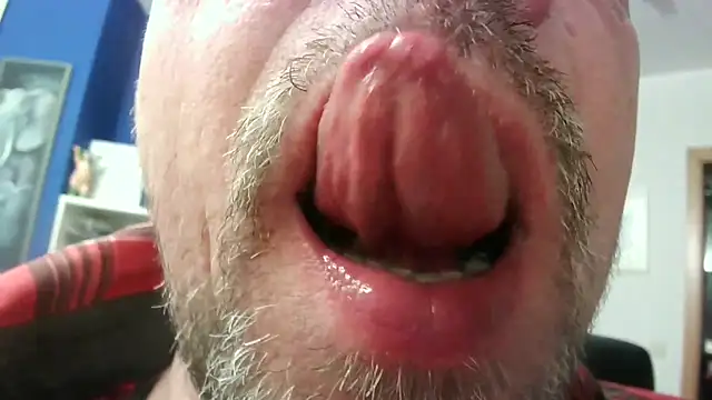 Snapshot of circus_bear@xh chatting on November 2025 06:46:01 AM circus bearxh online show from November 2025 06:46:01 AM