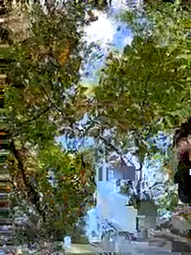 Snapshot of Mexxwell69 chatting on September 2025 03:11:02 PM Mexxwell69 online show from September 2025 03:11:02 PM