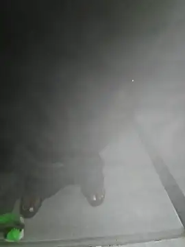 LundBoyram online show from October 2025 07:34:01 AM