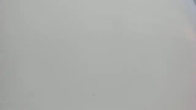 Saammy 17 online show from October 2025 08:04:01 PM