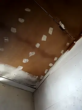 Snapshot of lucho2328 chatting on September 2025 06:46:01 PM lucho2328 online show from September 2025 06:46:01 PM