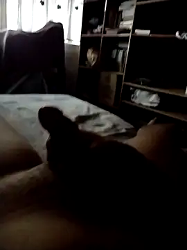 CadencedMimesis online show from September 2025 08:30:02 AM