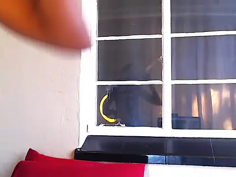 Snapshot of PetiteEbonyBabe chatting on October 2025 07:28:02 AM PetiteEbonyBabe online show from October 2025 07:28:02 AM