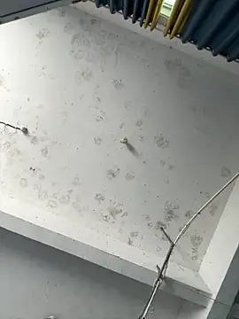 coco-o online show from September 2025 03:10:01 AM