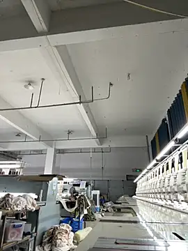 coco-o online show from September 2025 11:15:01 AM