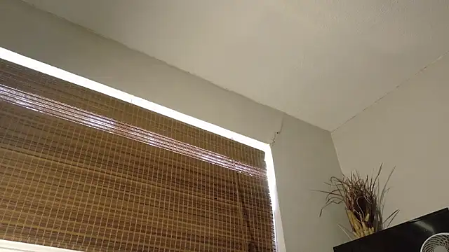 Snapshot of Dallasbest214 chatting on October 2025 09:48:01 PM Dallasbest214 online show from October 2025 09:48:01 PM