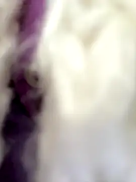 Snapshot of EveLittleSinner chatting on October 2025 08:55:02 AM EveLittleSinner online show from October 2025 08:55:02 AM