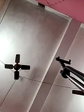 Panchi2 online show from November 2025 04:14:02 AM