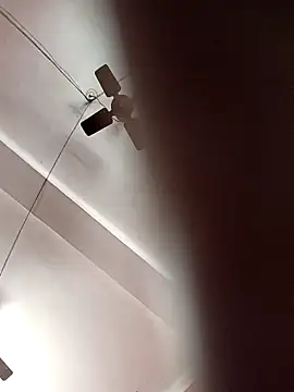 Panchi2 online show from November 2025 04:00:01 AM