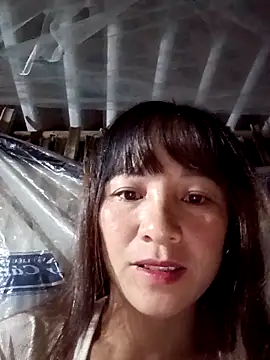 Snapshot of Mini3333 chatting on October 2025 05:17:01 PM Mini3333 online show from October 2025 05:17:01 PM