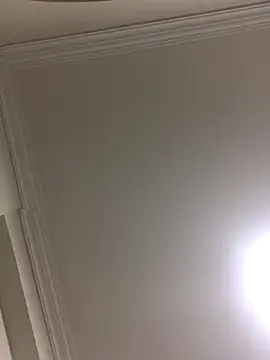 Snapshot of HaltBrand chatting on October 2025 10:43:02 PM HaltBrand online show from October 2025 10:43:02 PM