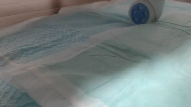 Snapshot of asuka_xoxo chatting on October 2025 08:31:02 PM asuka xoxo online show from October 2025 08:31:02 PM