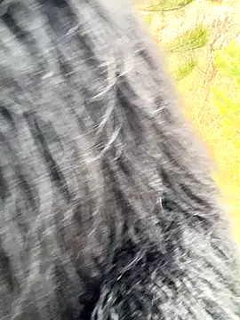 Snapshot of desiredude9 chatting on November 2025 07:10:02 AM desiredude9 online show from November 2025 07:10:02 AM