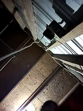 bigb499 online show from November 2025 04:50:02 AM