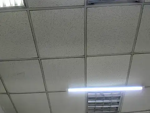 ScarletDoll online show from October 2025 02:52:01 AM