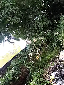 Snapshot of onlymasti00 chatting on November 2025 08:57:02 AM onlymasti00 online show from November 2025 08:57:02 AM