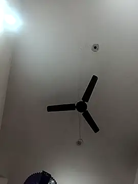 Appypie online show from November 2025 06:03:01 AM