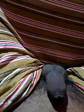 Boobslover002389 online show from October 2025 04:33:01 AM